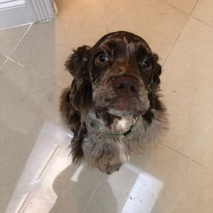 Meet your Posher, Maggie